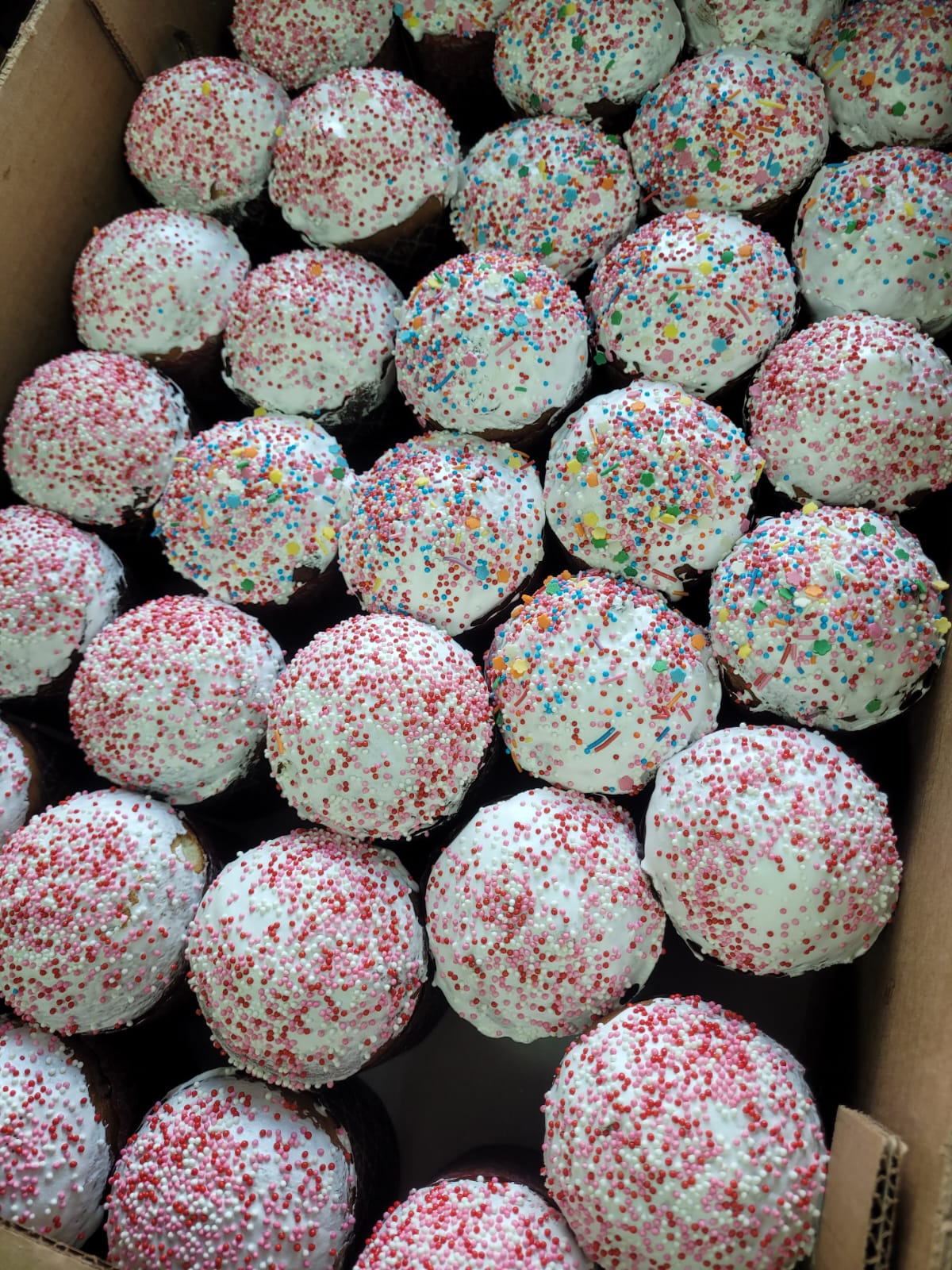 IMG-20250409-WA0036 (1).jpg